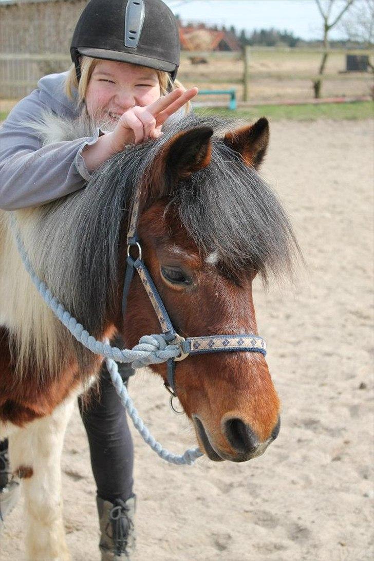 Anden særlig race Malou - Den pony vil altid have en speciel plads <3
<br>
<br>
Foto: Sofie :-) billede 2