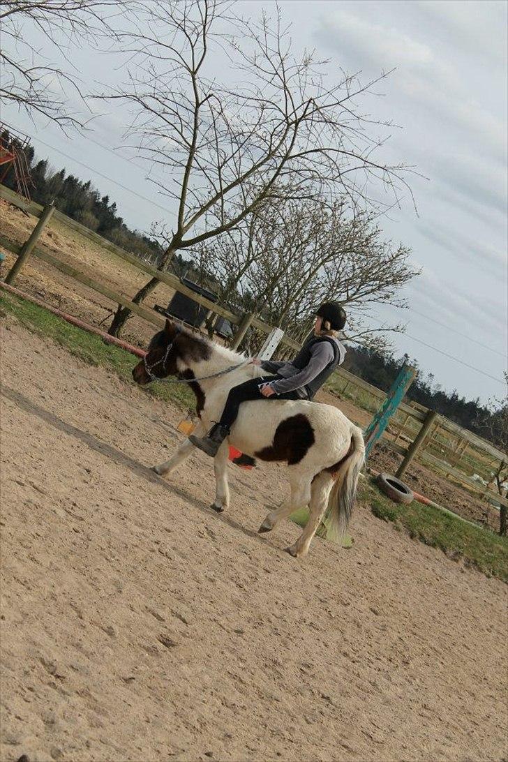 Anden særlig race Malou - Skridter af i grime :-)
<br>
<br>
Foto: Sofie :-) billede 15