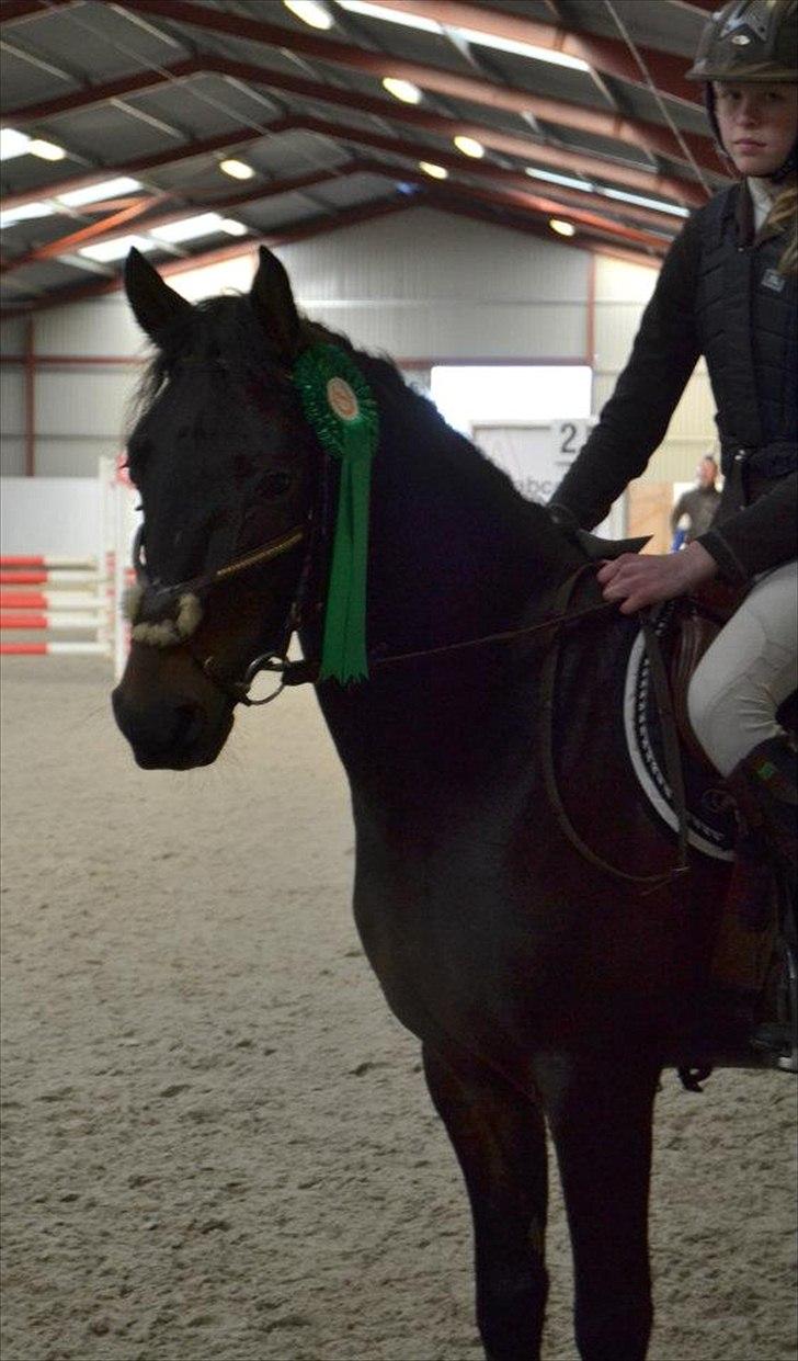 DSP Racing Tai Vil altid være elsket!! <3<3 billede 1