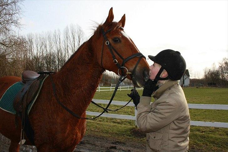 Dansk Varmblod Lucy - *Mys Mys Mys* billede 19