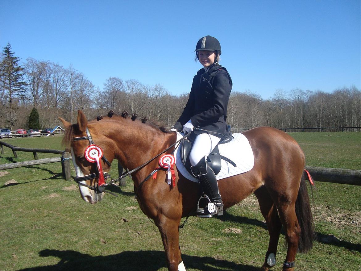 New Forest Escada  <3 himmelhest :’(  - <3<3 billede 17