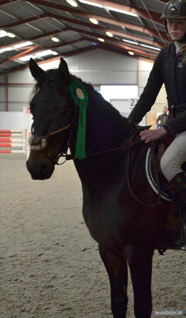 DSP Racing Tai billede 2