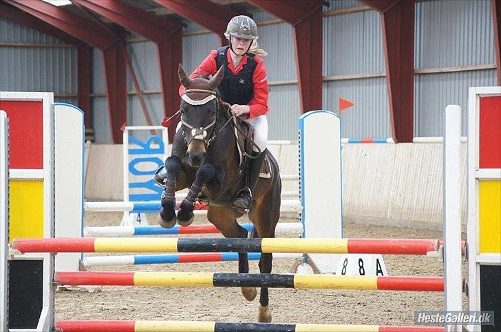 DSP Racing Tai billede 3