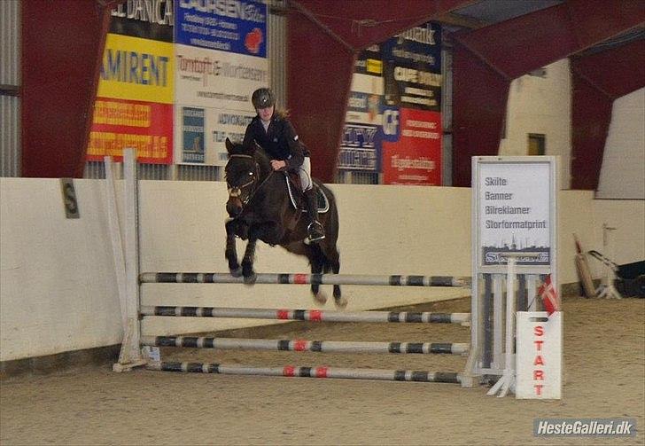 DSP Racing Tai billede 5