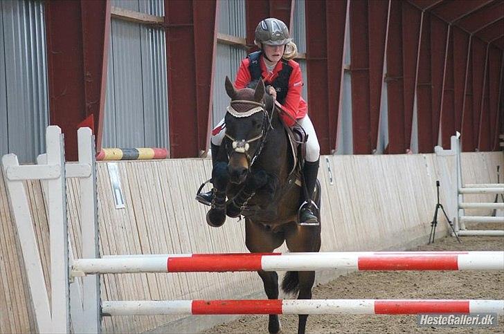 DSP Racing Tai billede 9