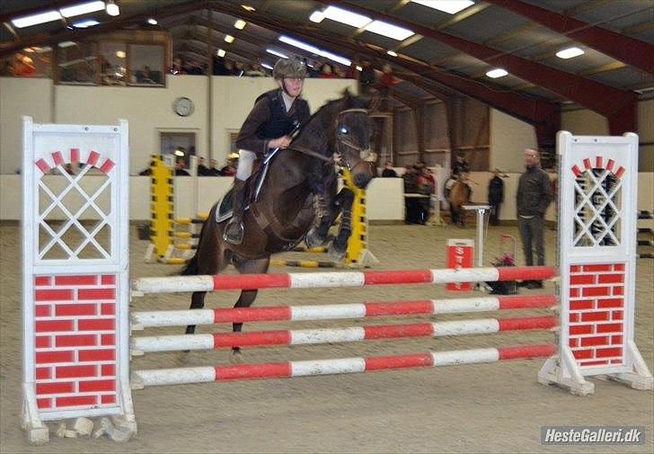 DSP Racing Tai billede 12