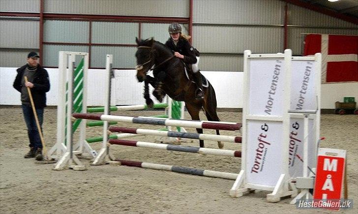 DSP Racing Tai billede 13