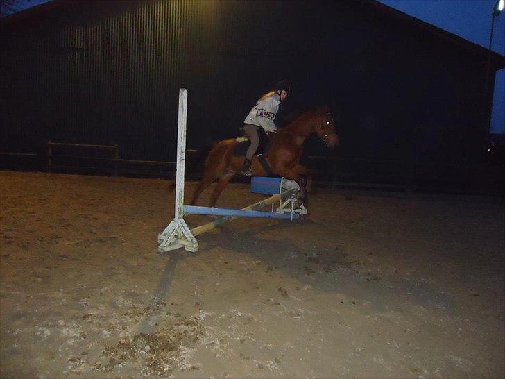 DSP Mylord - Lidt spring billede 12