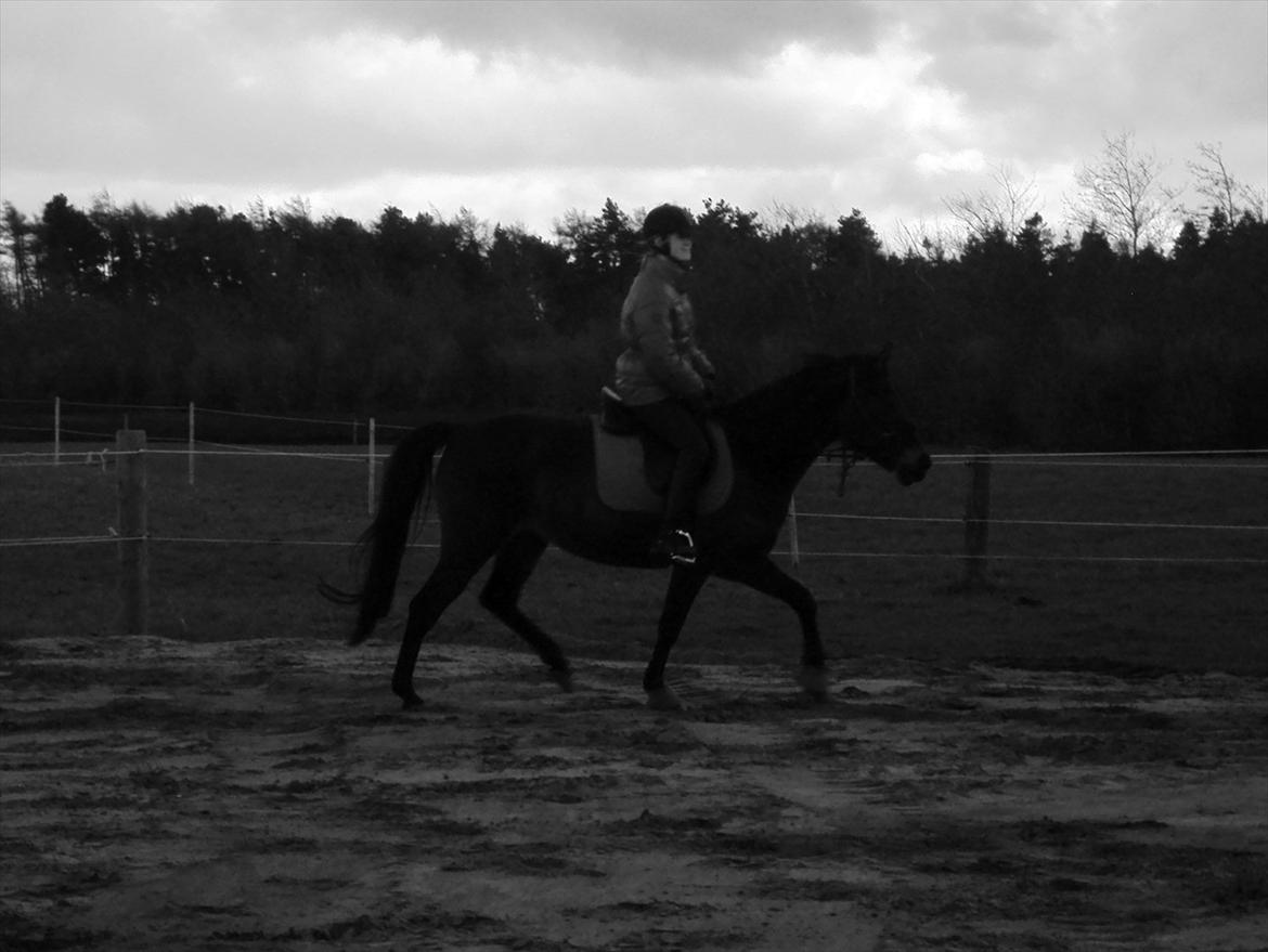 Anden særlig race Maya - Min lille prinsesse!<3 Bidløst - d. 16.4.12 billede 18