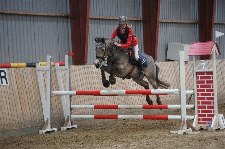 Connemara Bridgewater Opium billede 4