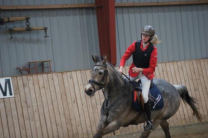 Connemara Bridgewater Opium billede 6