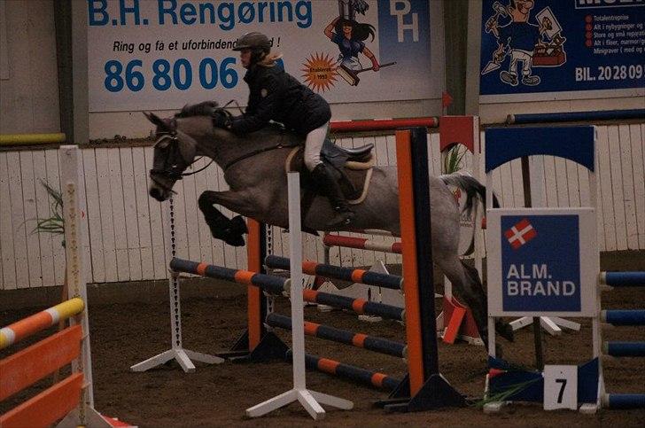 Connemara Bridgewater Opium billede 11