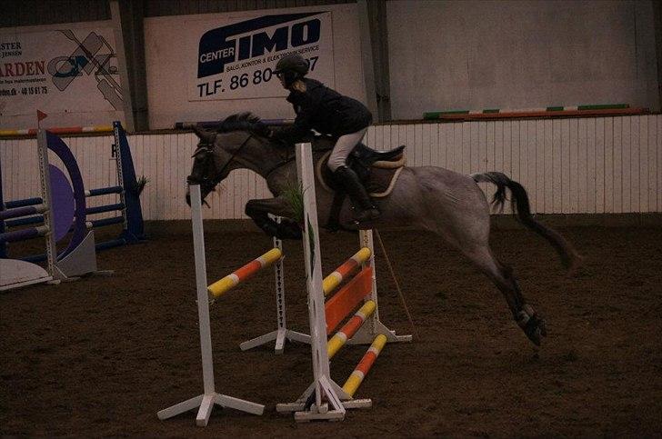 Connemara Bridgewater Opium billede 13