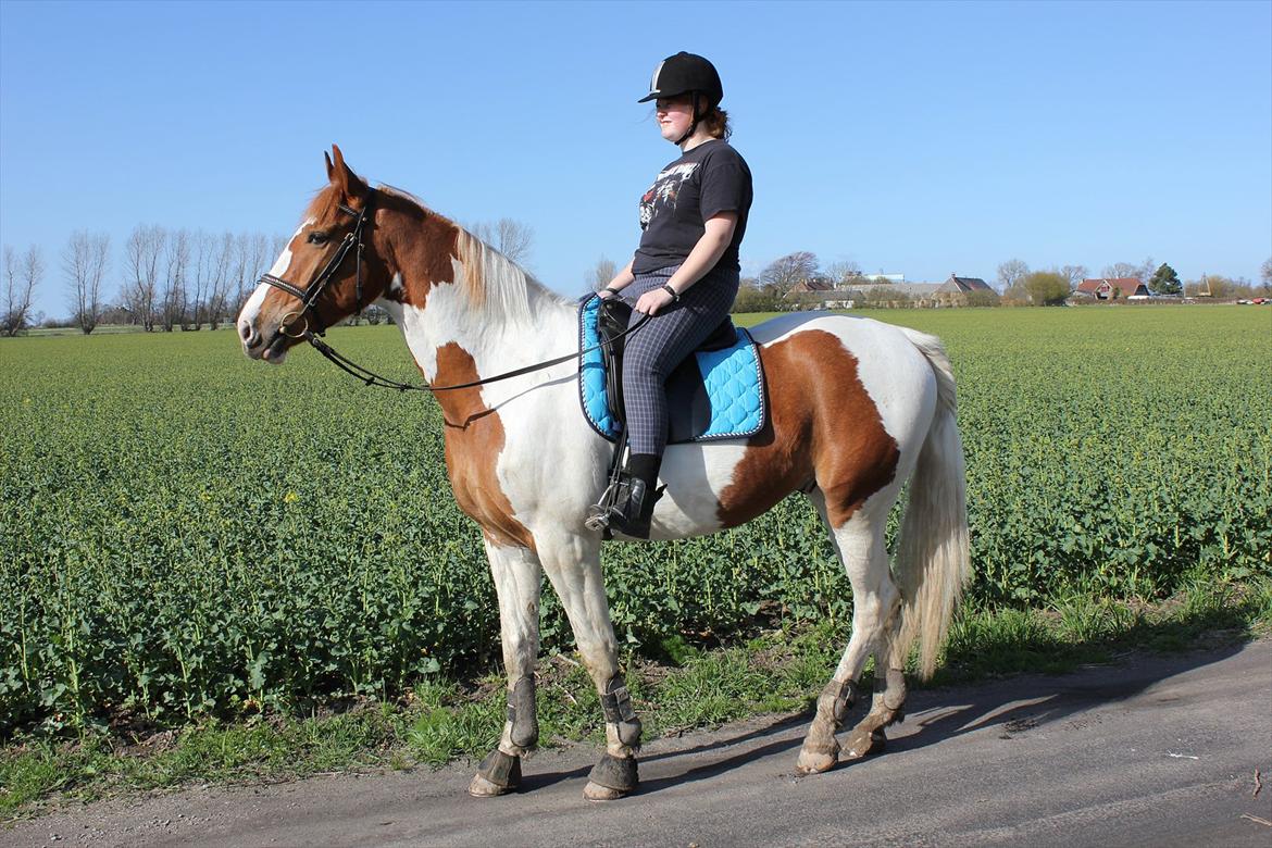 Anden særlig race Olivar - Solgt - Os ud og skridte en lille tur :-) billede 8