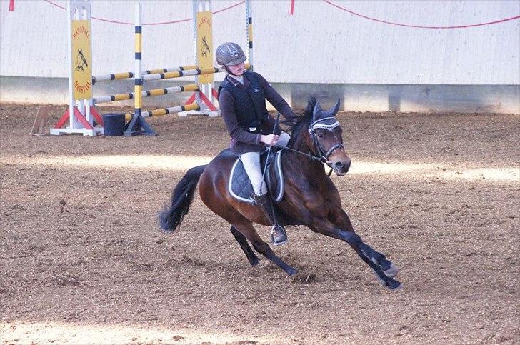 DSP Marain Charming - SOLGT billede 11