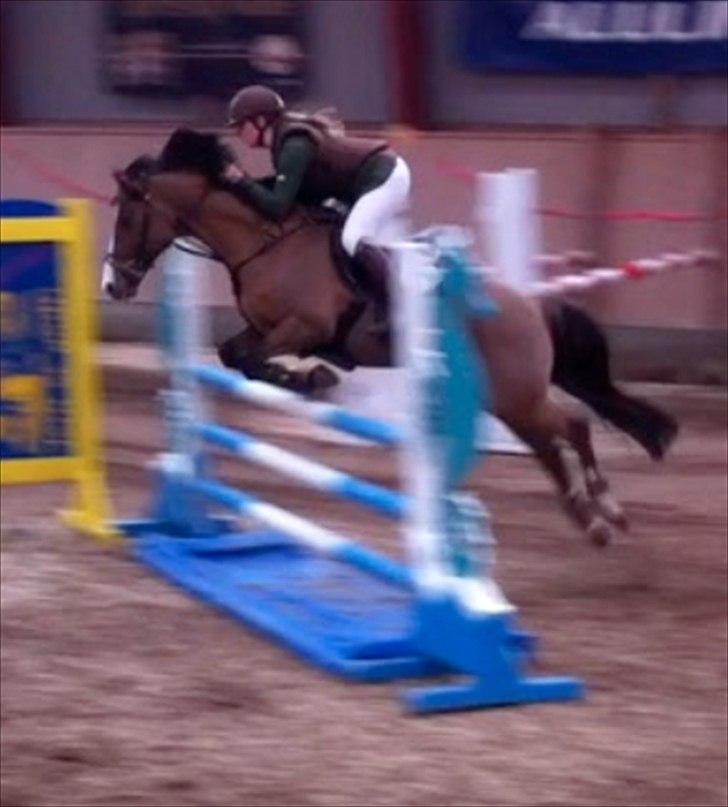 Anden særlig race Cappagh Unique - Una og jeg i vores første MA og første landsstævne :)

Her over sidste spring <3 billede 1