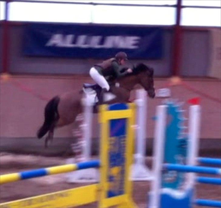 Anden særlig race Cappagh Unique - Første landsstævne og første MA :)
(taget ud fra en video) billede 16