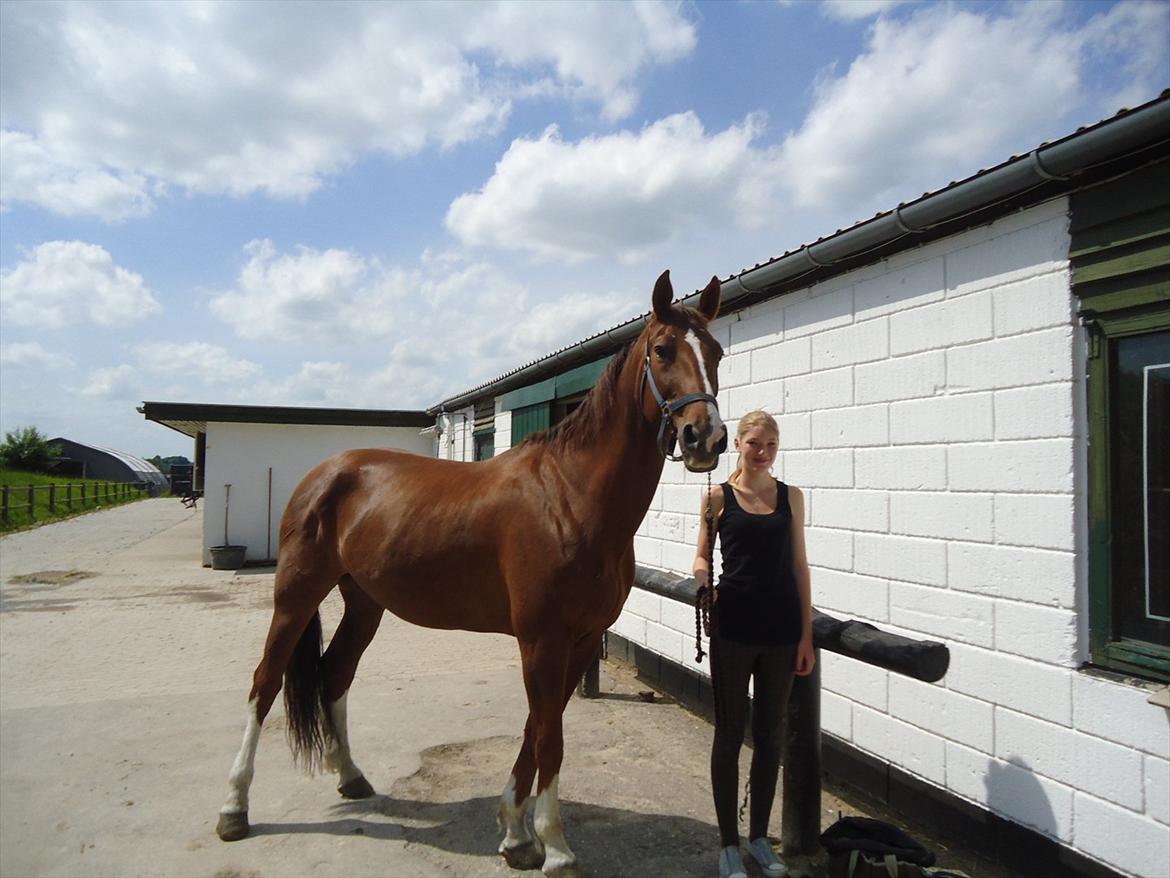 Hollandsk Varmblod Chanel - Mig og smuk sakken en af de sidste dage med hende...  :`(  2011 billede 17