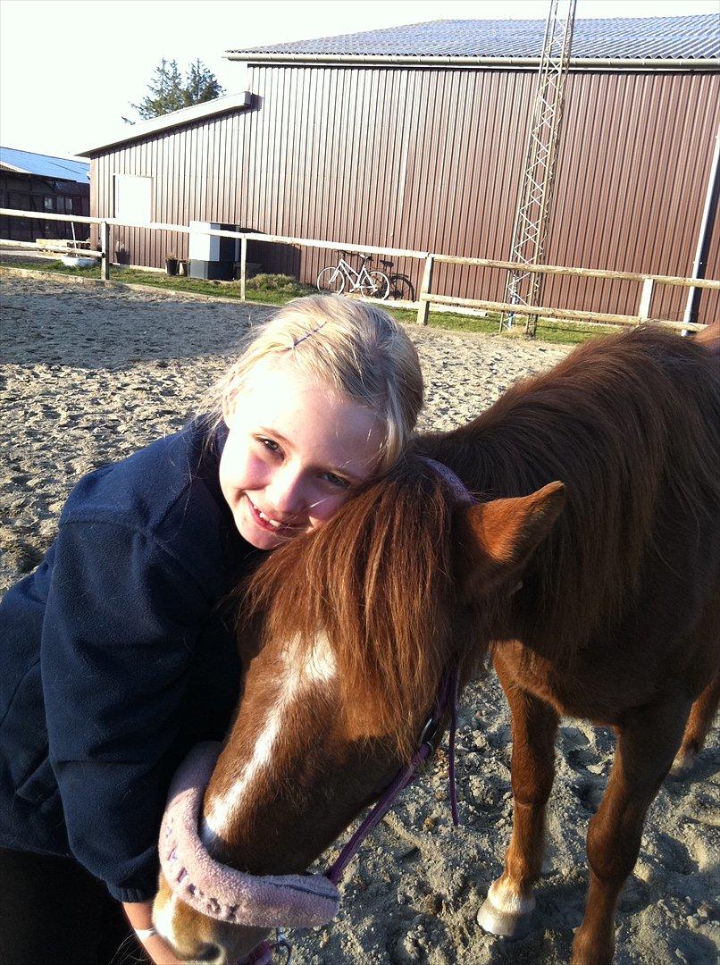 Anden særlig race Missy<3<3<3 - hygger med rideskolepiger;-D billede 4