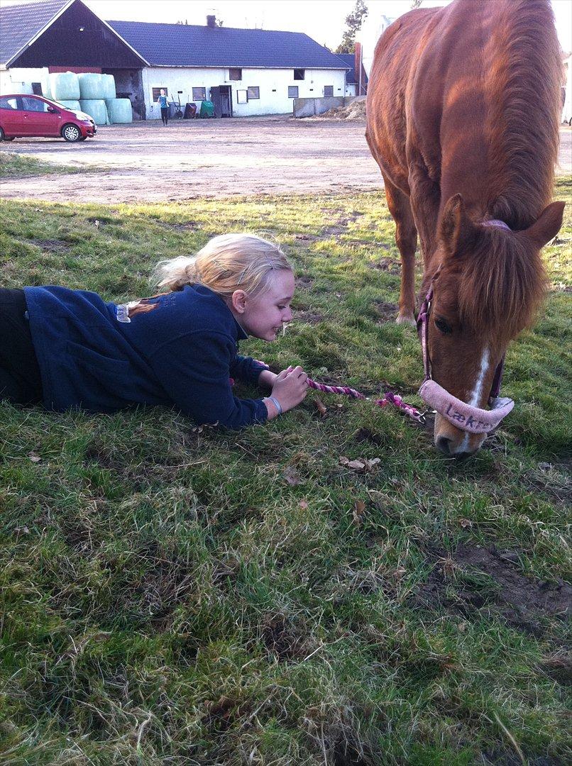 Anden særlig race Missy<3<3<3 - hun er bare dejlig! billede 5