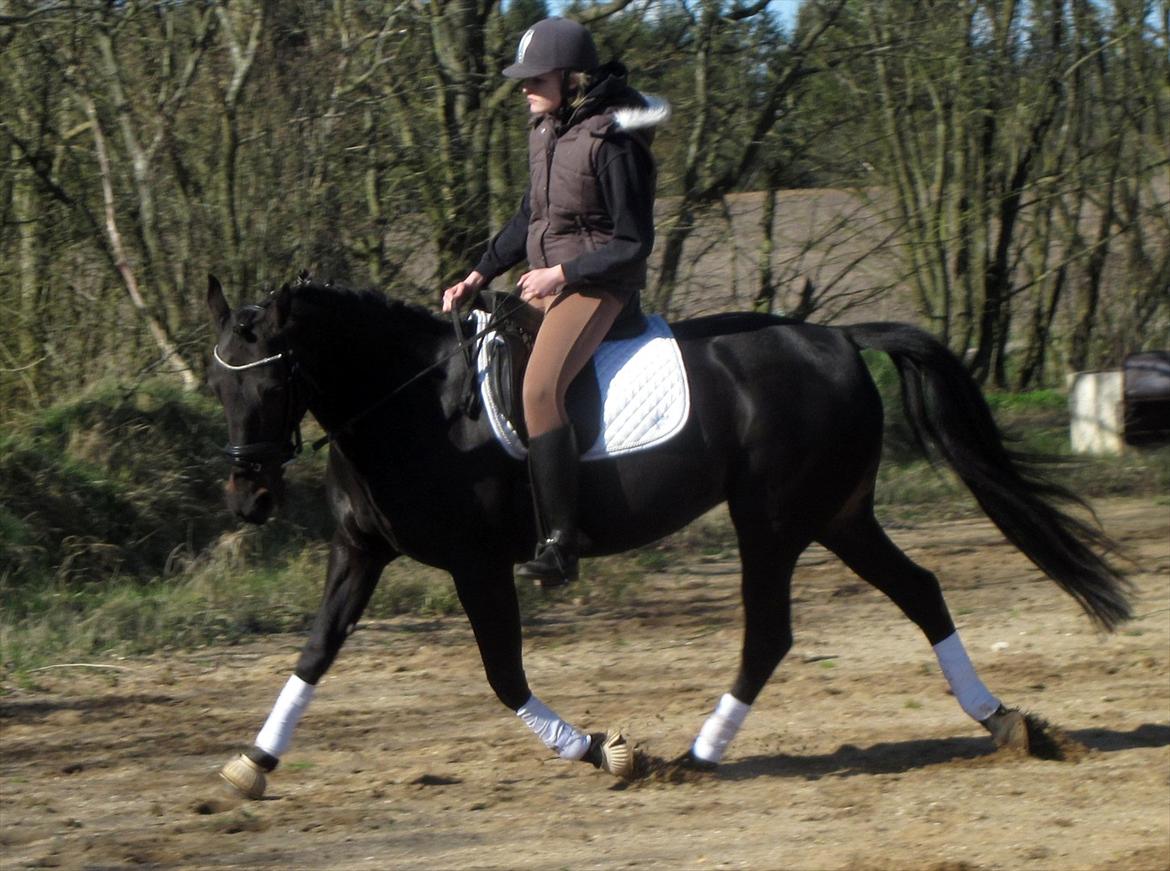 Traver Exposito Attack billede 7