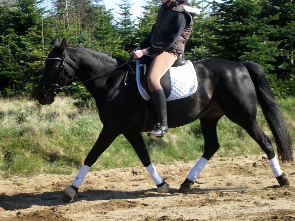 Traver Exposito Attack billede 3