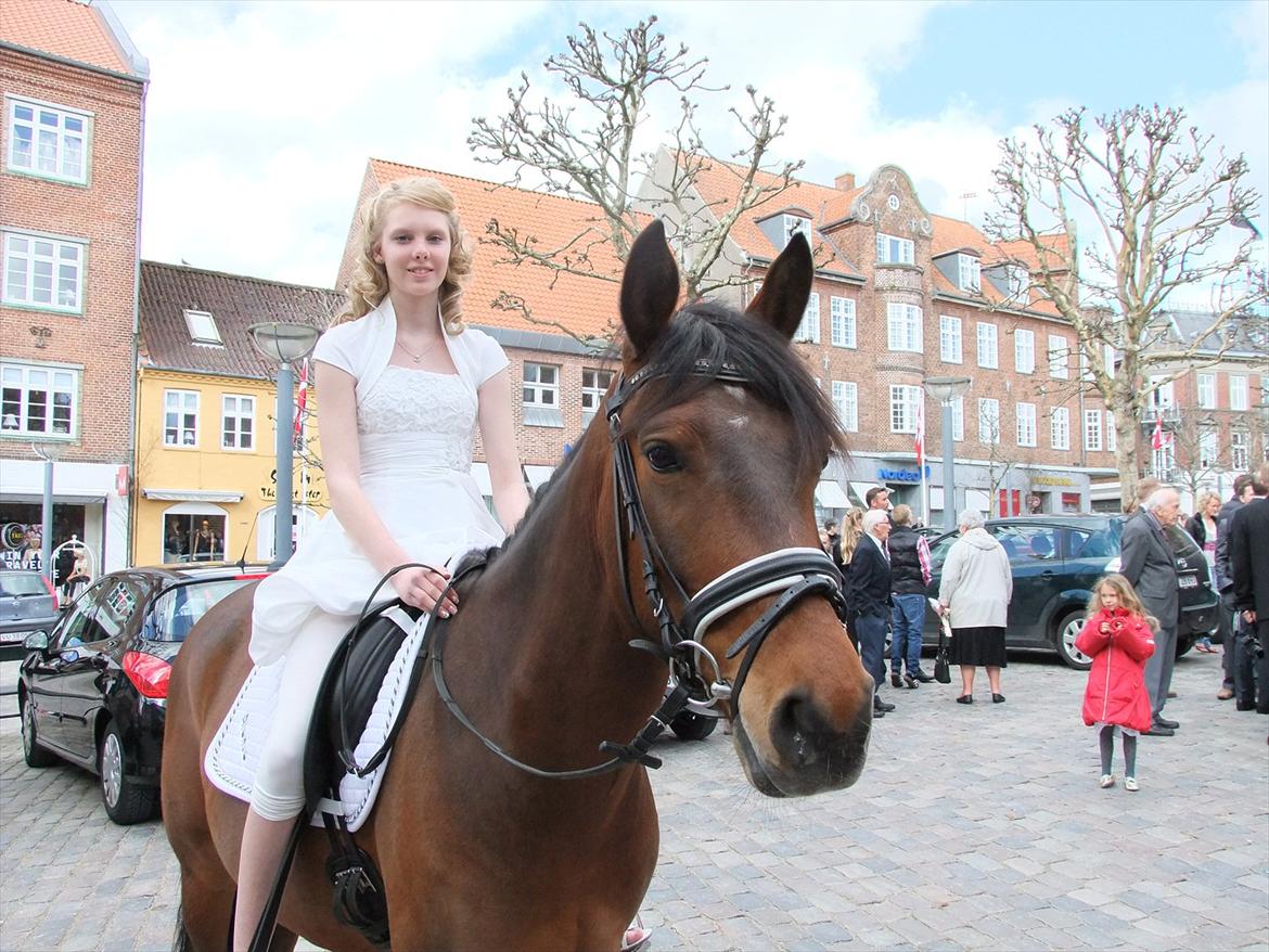 Anden særlig race Alonso - Smukke pony <3 billede 14