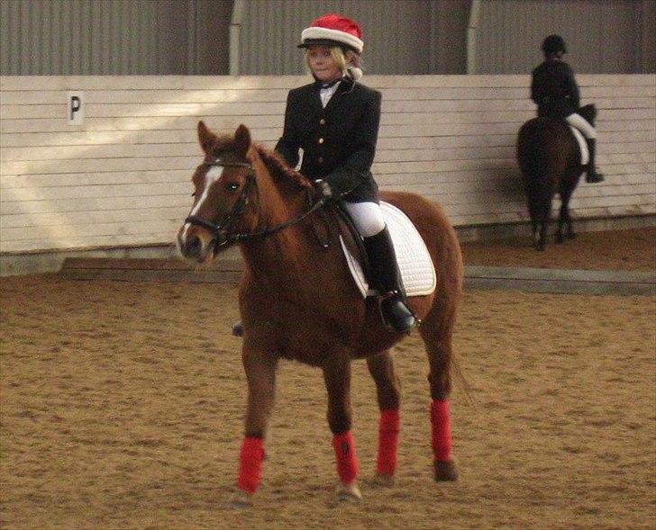 Anden særlig race Missy<3<3<3 - Til julestævne med Missy<3 billede 10