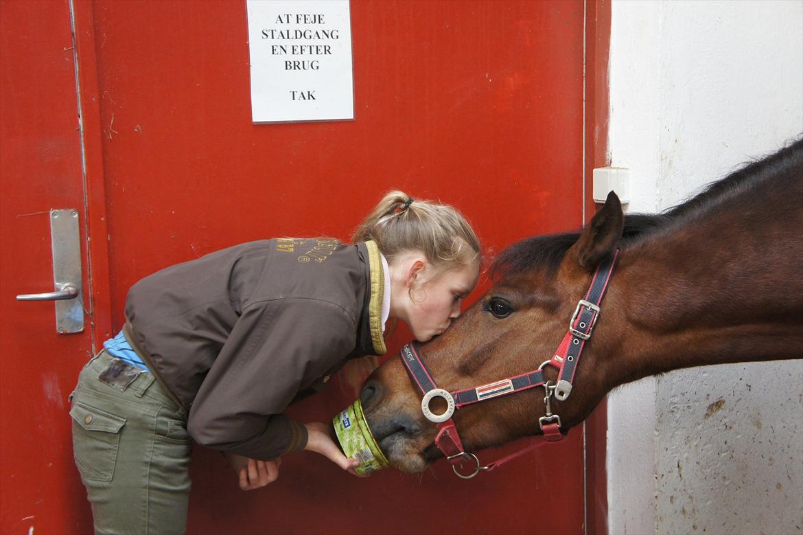 New Forest Odbjergs Elizar - Elizar's 8 års fødselsdag:-) billede 1