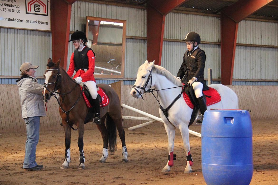 Hollandsk Sportspony Álice - Mig, og Lykke til præmieoverrakelse d: billede 2