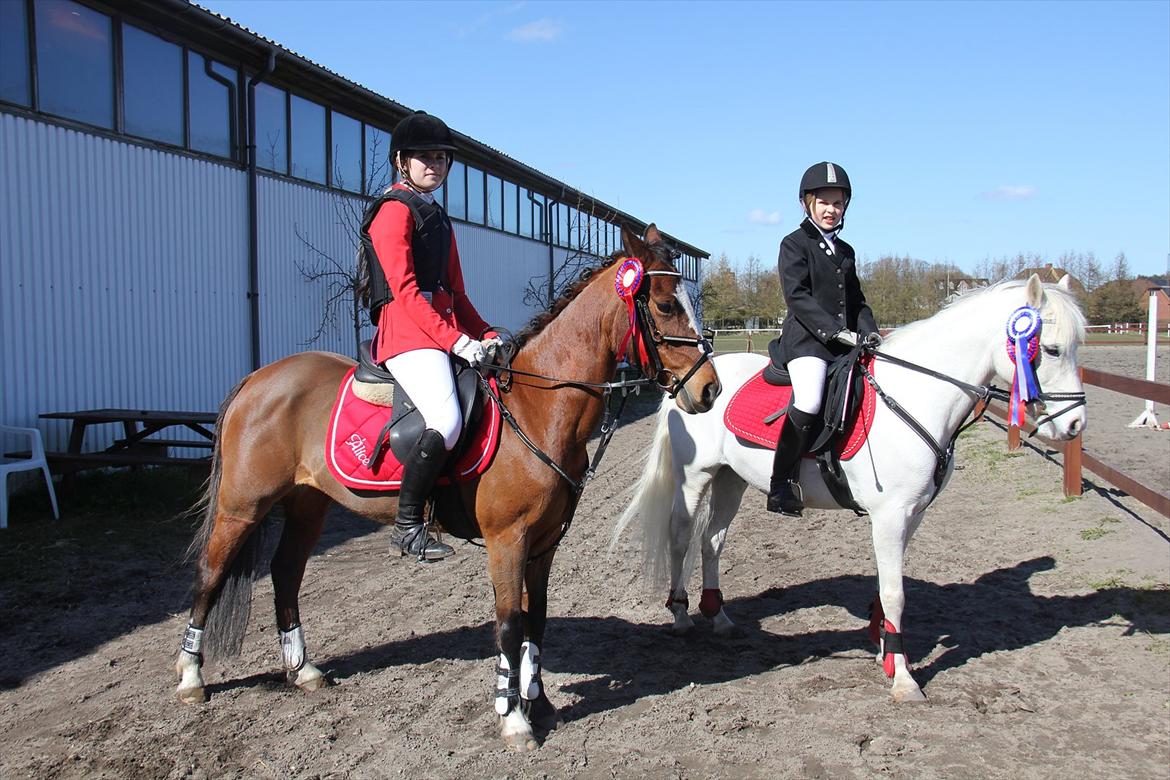 Hollandsk Sportspony Álice - Mig og Àlice som lige havde vundet LC, og Lykke og Whisser som vandt LD, og fik en 2. plads i LC. billede 3