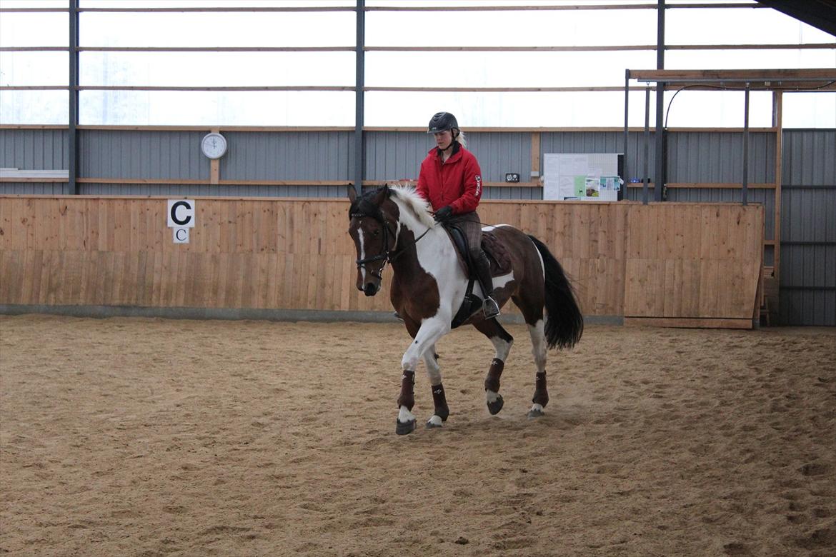 Anden særlig race Spirit Of Sapana billede 1