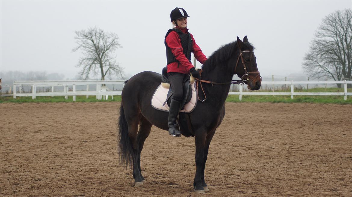 Connemara Tobæks Isabella <3 billede 6