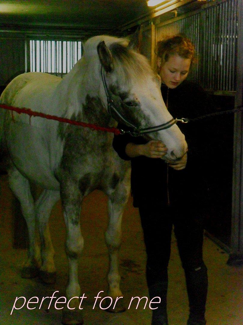 Anden særlig race MR MARTIN - <3 billede 17