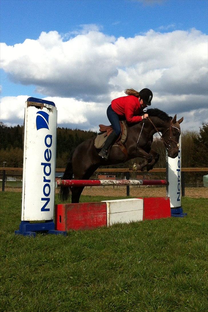 Anden særlig race Garnis - Første udendørs træning i år <3
April 2012:*
70-75 cm <3 billede 6