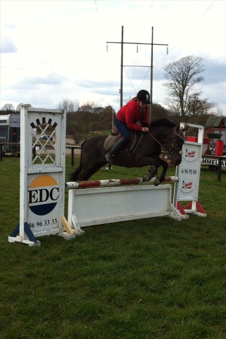 Anden særlig race Garnis - Første udendørs træning i år <3
April 2012 :*
75-80 cm <3 billede 10