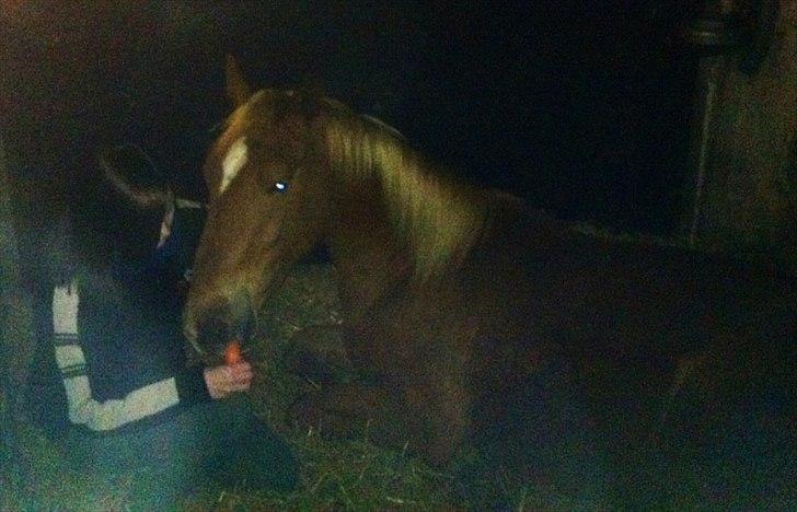 Frederiksborg | Ajaxander Jones (Ajax) billede 25