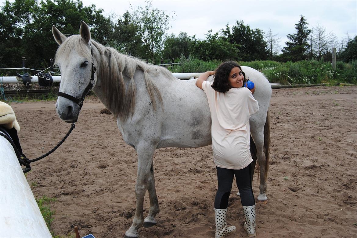 Anden særlig race Penelope billede 1