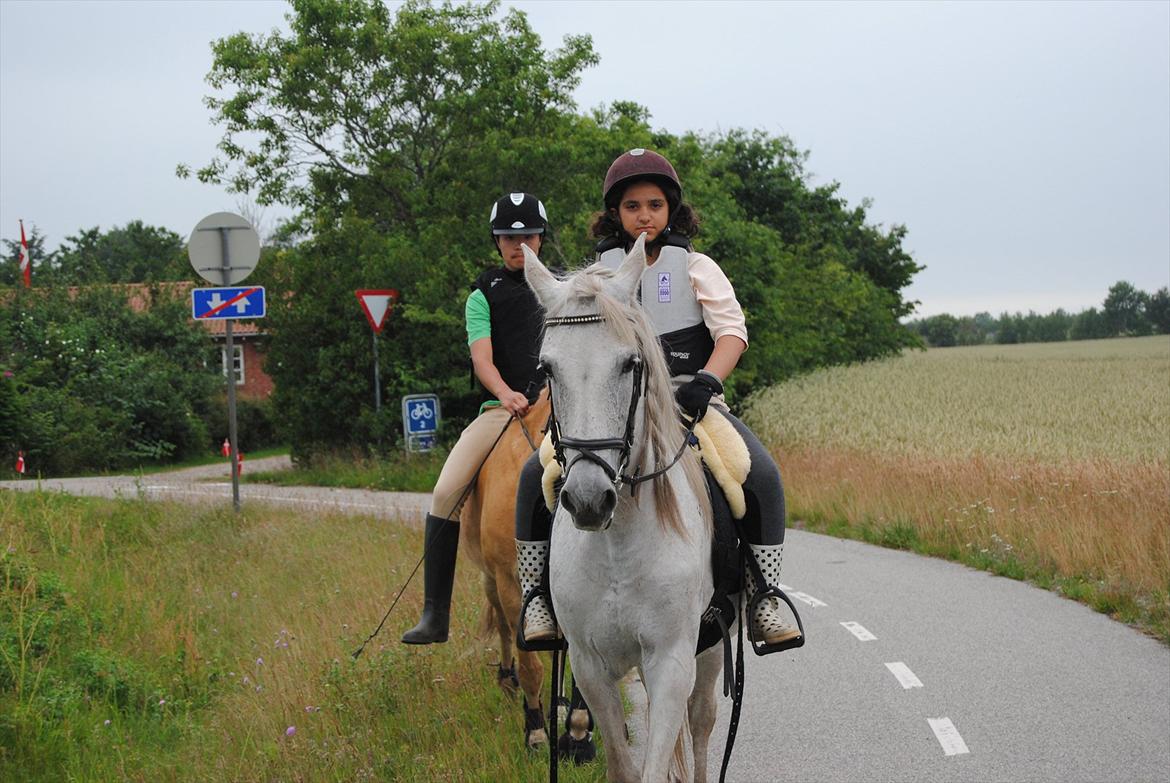 Anden særlig race Penelope billede 6