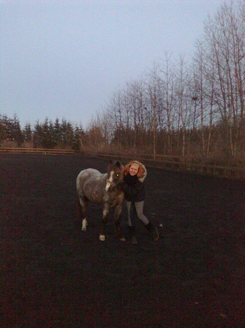 Anden særlig race Sheila *My Soulmate* billede 8