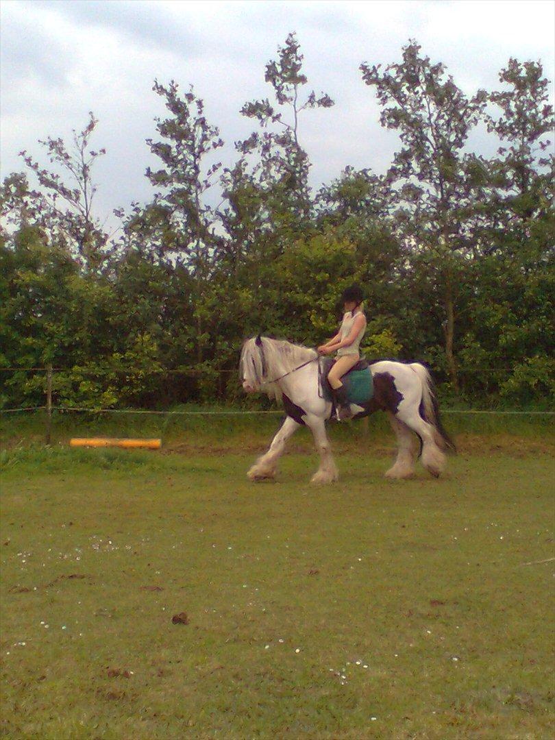 Tinker Oenghus Of Ireland (Rider) billede 18