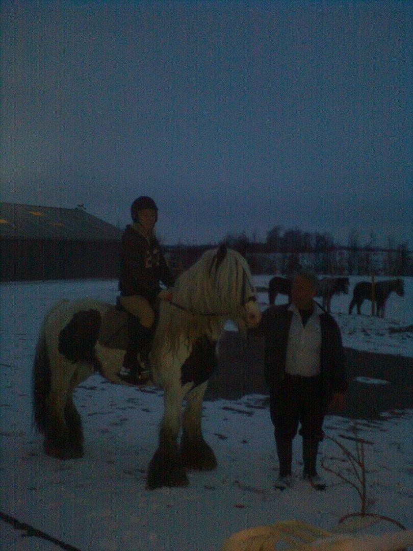 Tinker Oenghus Of Ireland (Rider) billede 19