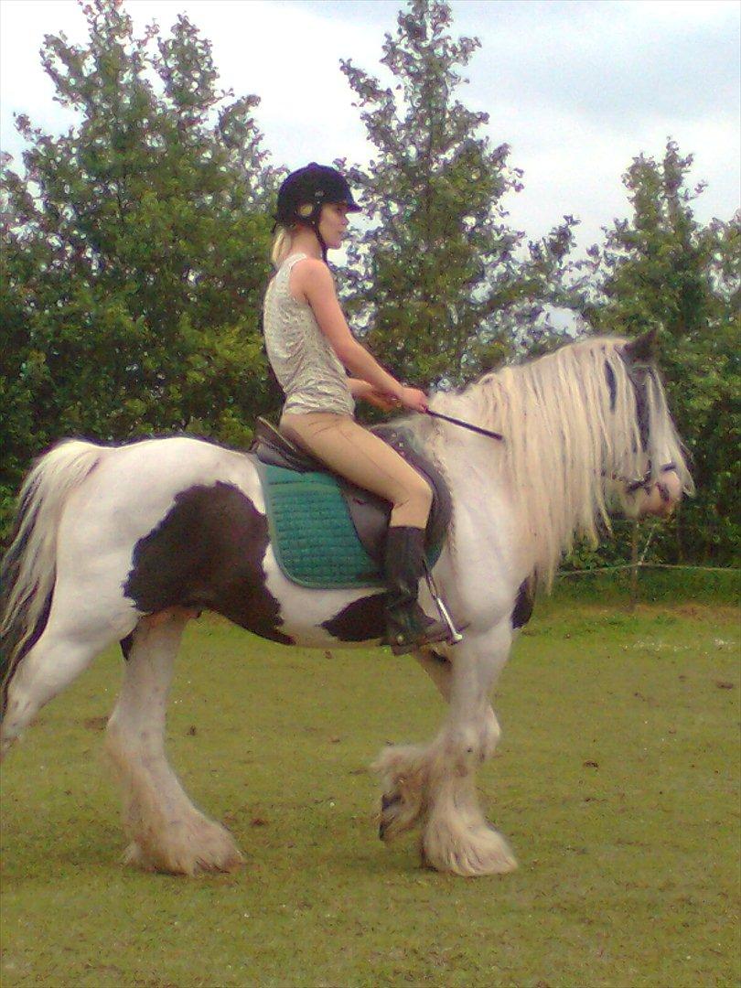 Tinker Oenghus Of Ireland (Rider) billede 20