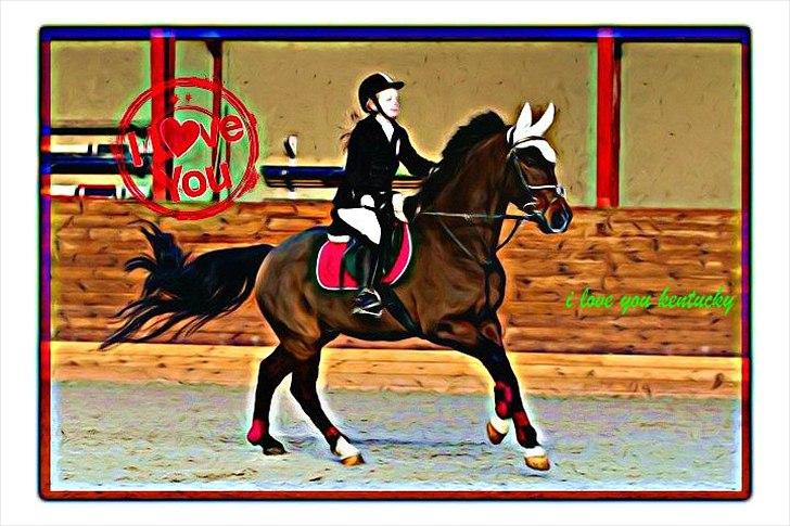 DSP Nørlunds kentucky - kentucky & mig til spring stævne på faxe m. 1.PLADSEN :) billede 20