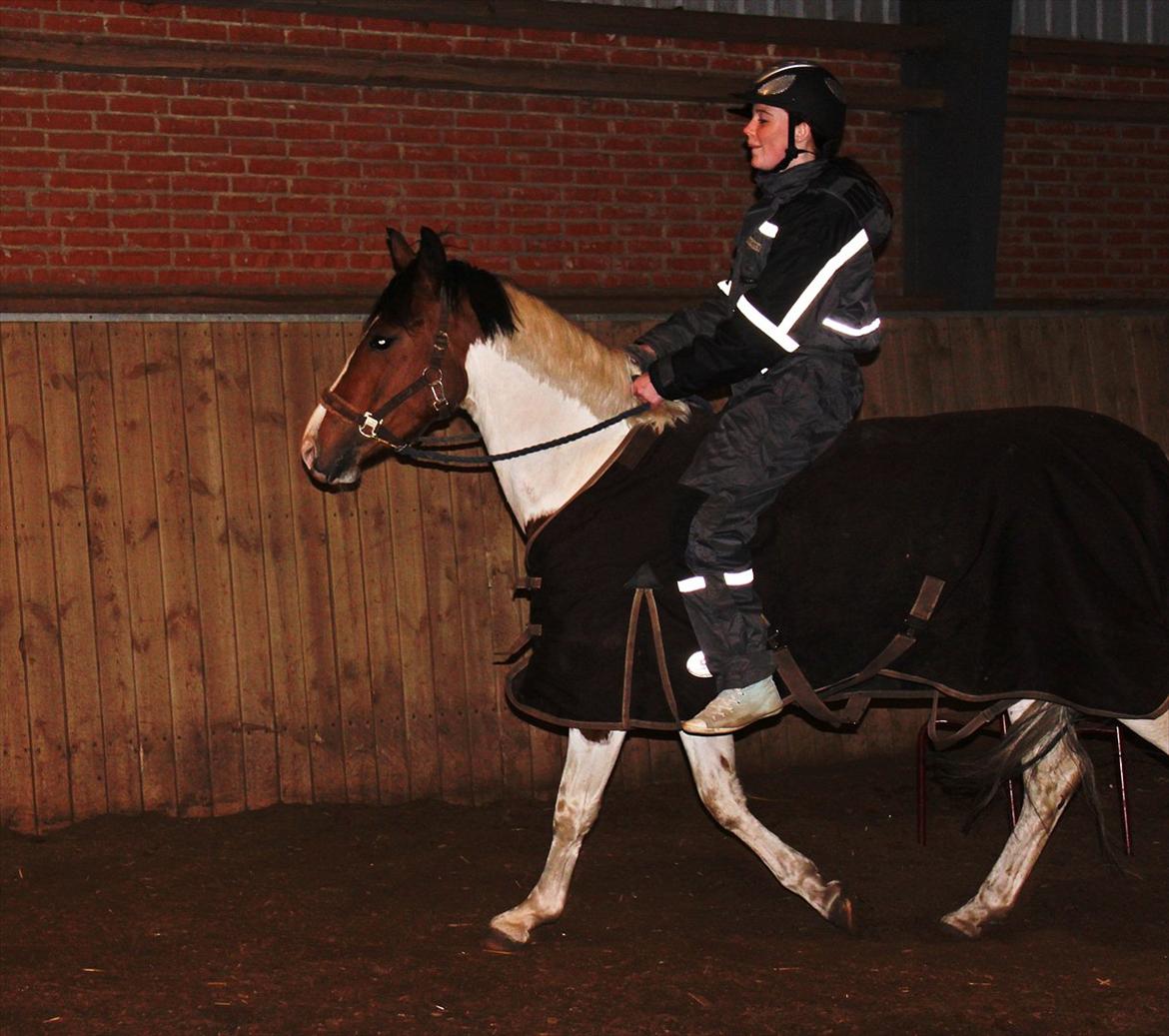 Anden særlig race All Star (Luna) - Du er mit lys - min livs glæde.. Du mit alting. Du den vigtigste del af min hverdag.. Du kan få mig op når jeg er længst nede. Uanset hvordan dagen har været er du den, der altid kan få et smil frem på mine læber. - I will always love you <3 billede 10