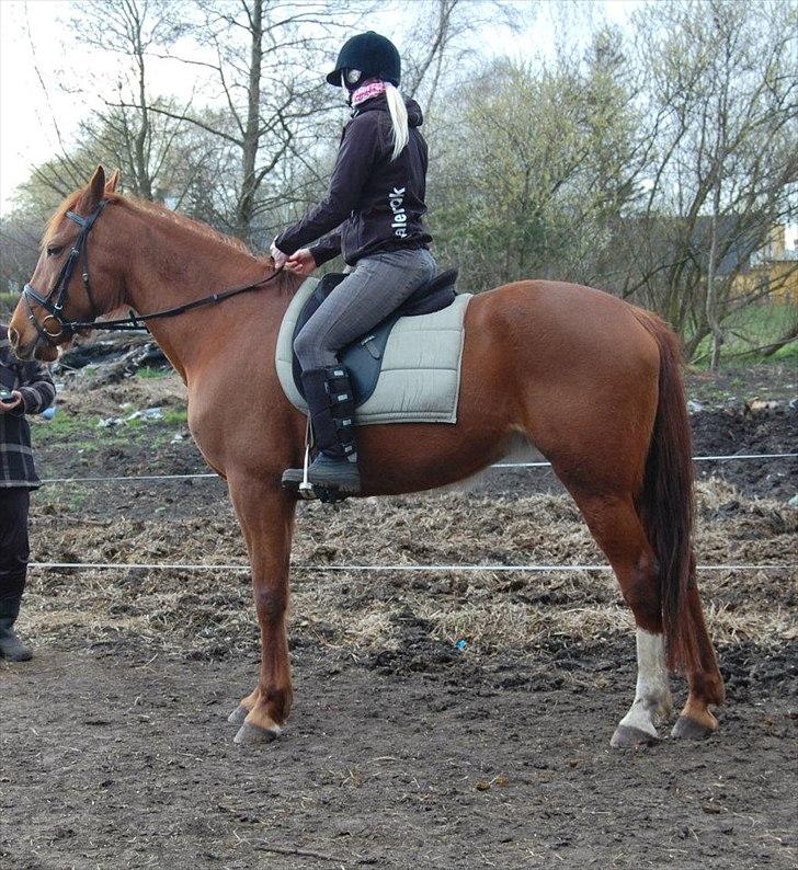 Traver Kind of magic - Kind med tidl part billede 9