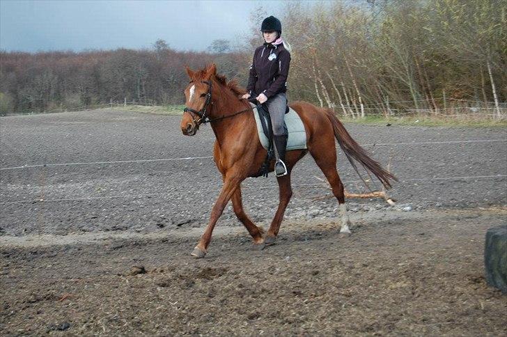 Traver Kind of magic - Kind med tidl. part billede 8