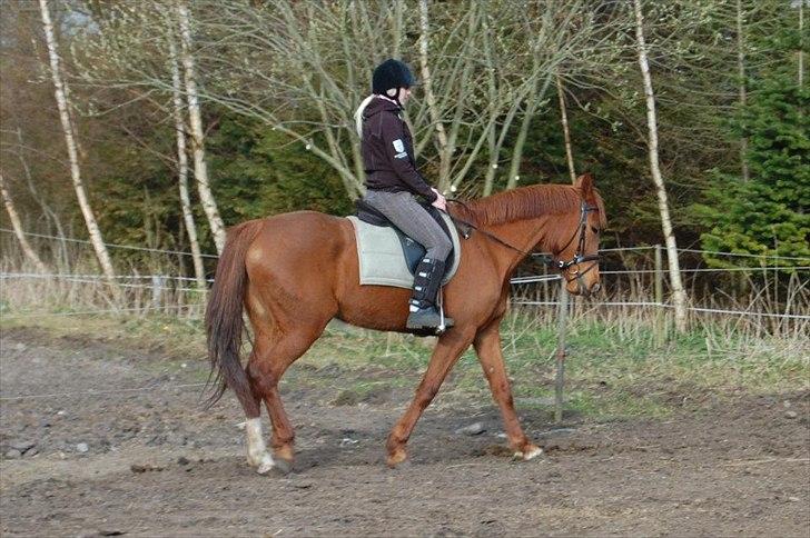 Traver Kind of magic billede 10