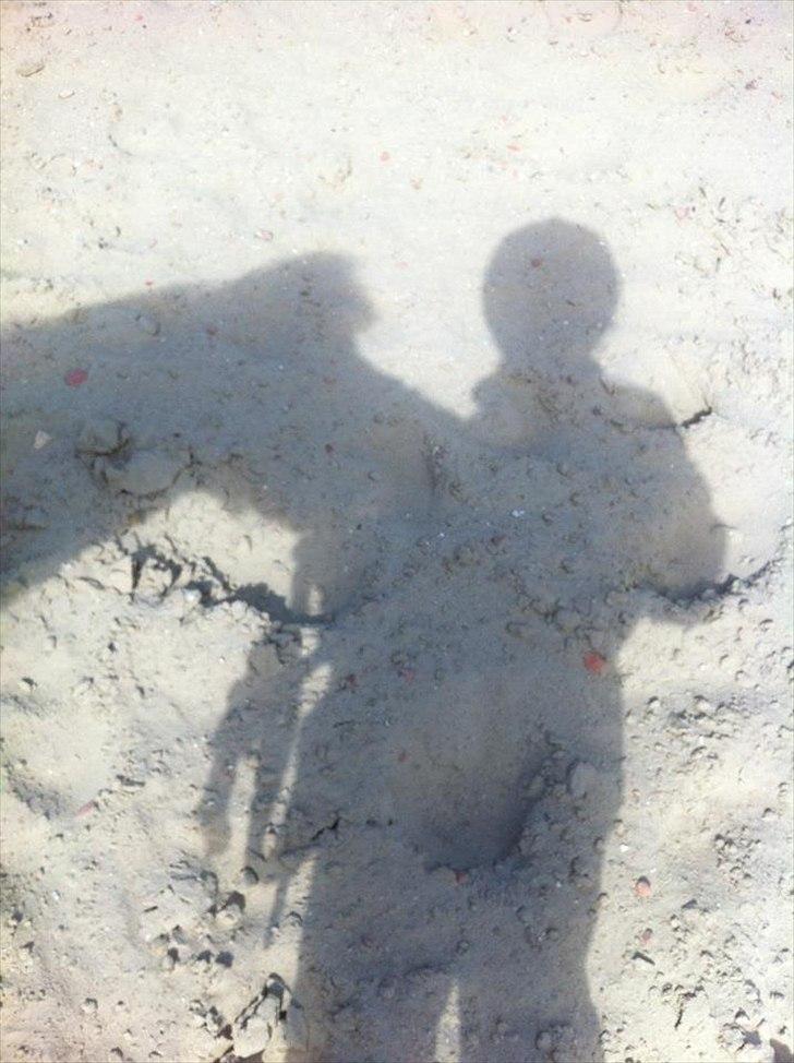 Shetlænder Emil!<33 - Dig  Og Mig emil Dig Og Mig!<33 billede 5