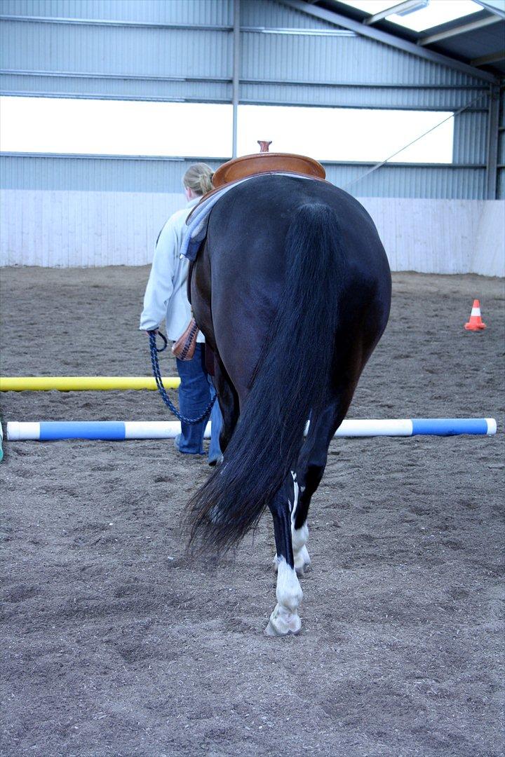 Quarter San Par Vision - Når enden er god er alting godt! Håber i har nydt det :) billede 20